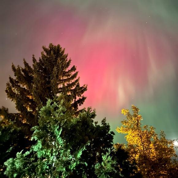 Meet your Posher, Ron - Picture 2 of 2